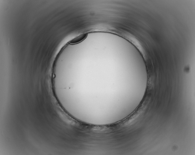 X0000100981146200807151409