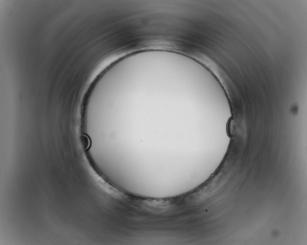 X0000100981147200807151409