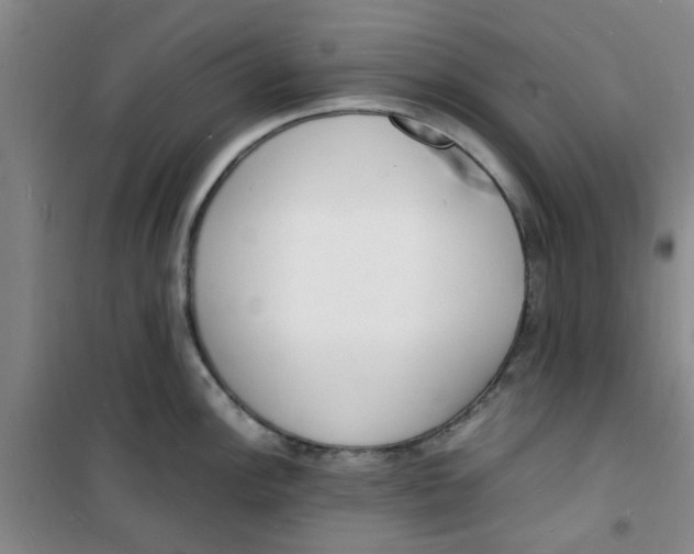 X0000100981148200807151409