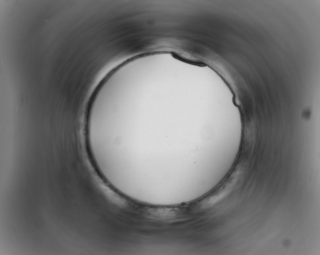 X0000100981149200807151409