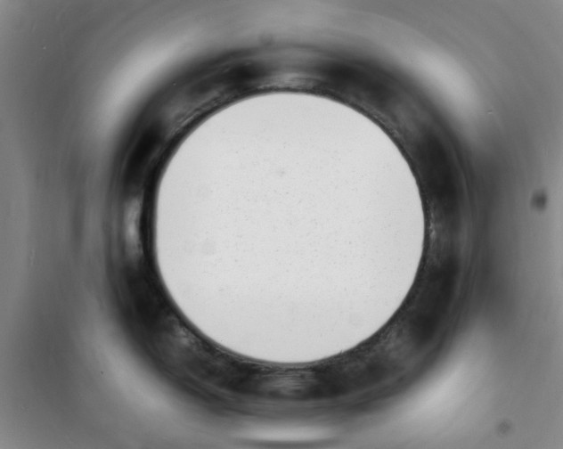 X0000100981150200807151409