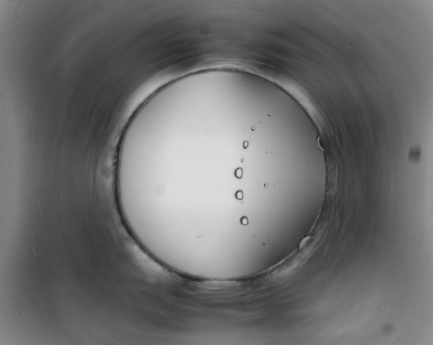 X0000100981151200807151409