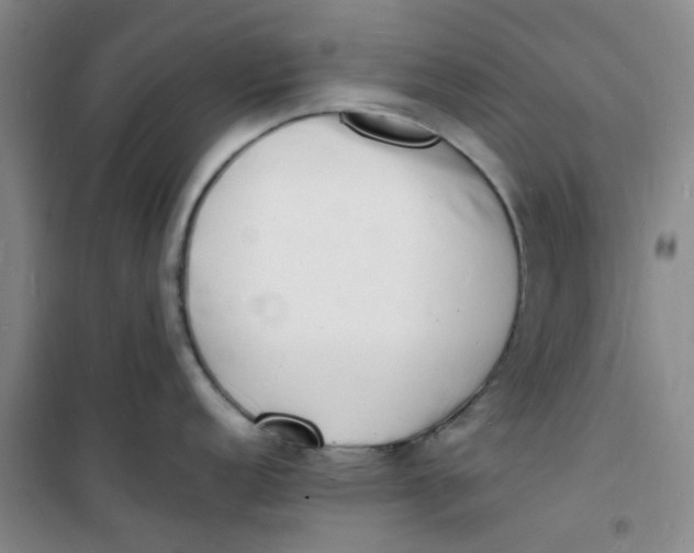 X0000100981152200807151409