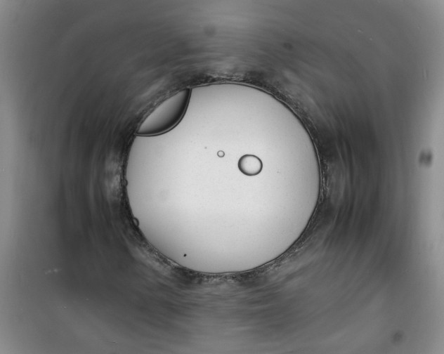 X0000100981154200807151408