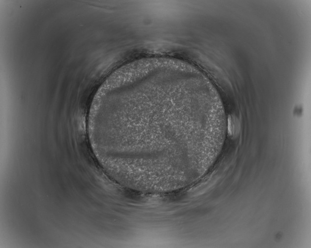 X0000100981155200807151408