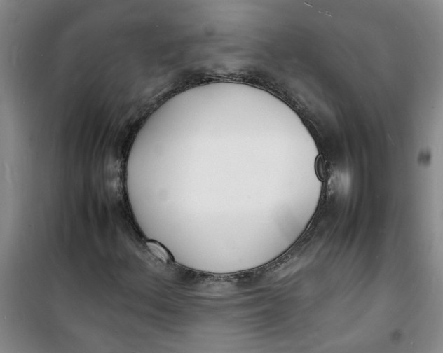 X0000100981156200807151408