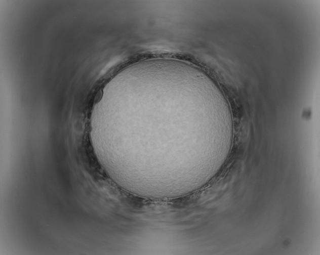 X0000100981157200807151408