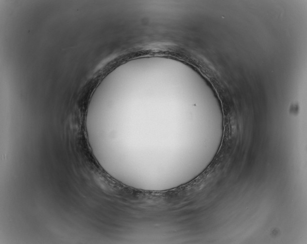 X0000100981158200807151408