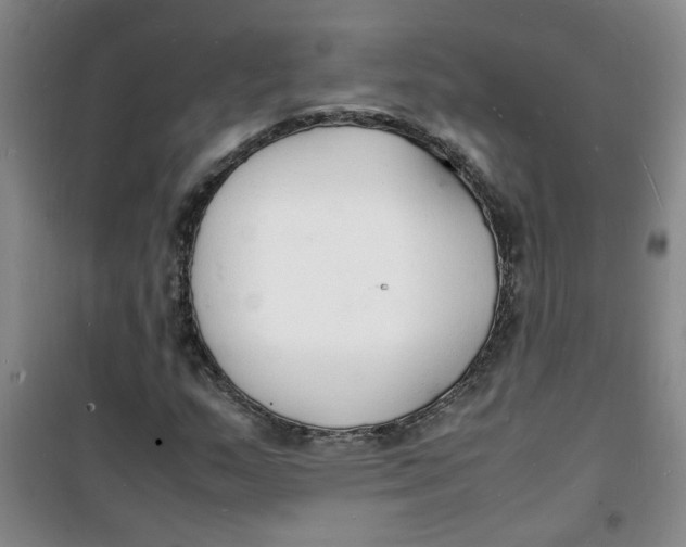 X0000100981159200807151408