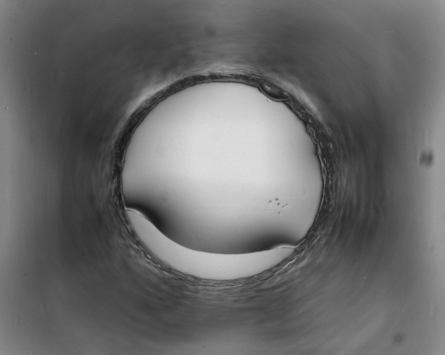 X0000100981160200807151408