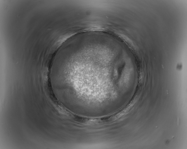 X0000100981161200807151408