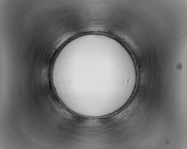 X0000100981162200807151408