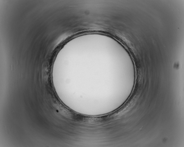 X0000100981163200807151408