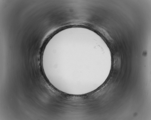 X0000100981164200807151408