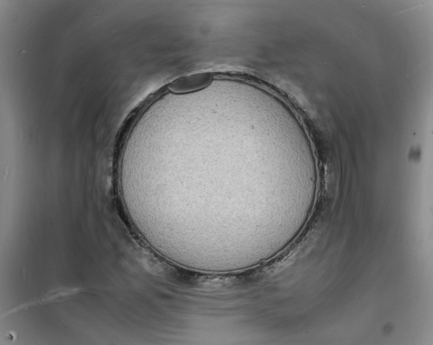 X0000100981165200807151408