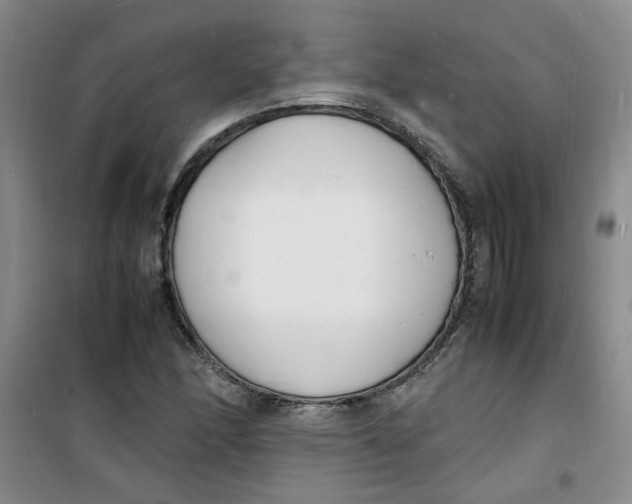 X0000100981166200807151408