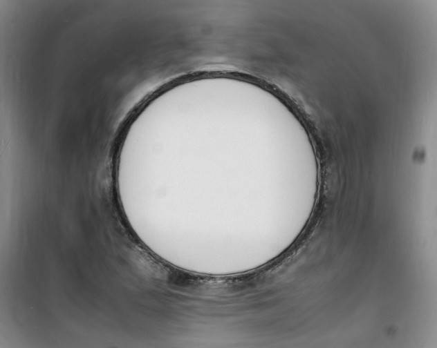 X0000100981167200807151408