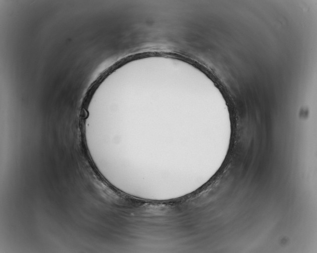 X0000100981168200807151408