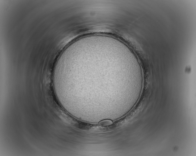 X0000100981169200807151408