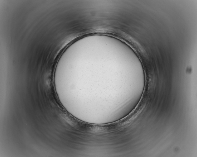 X0000100981170200807151408