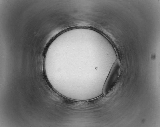 X0000100981171200807151408