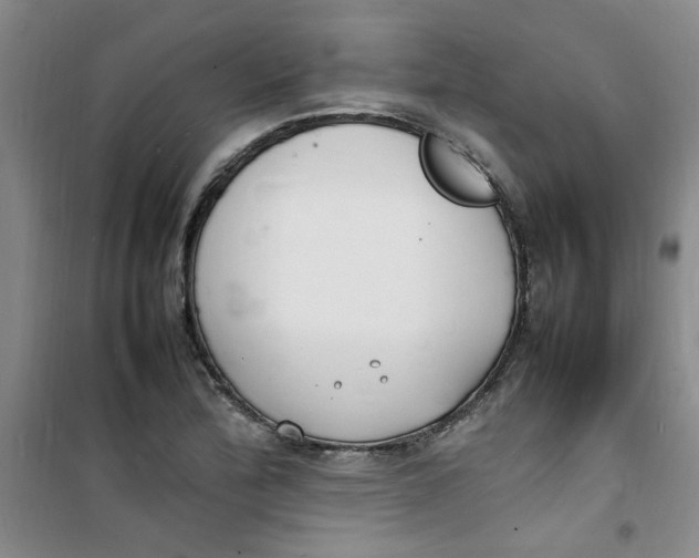 X0000100981172200807151408