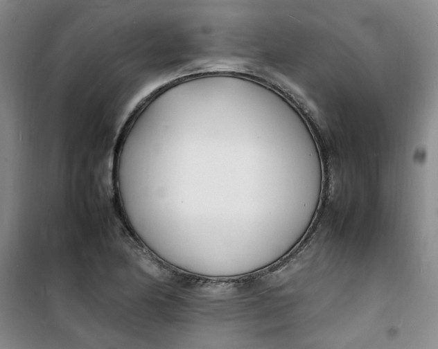 X0000100981174200807151408