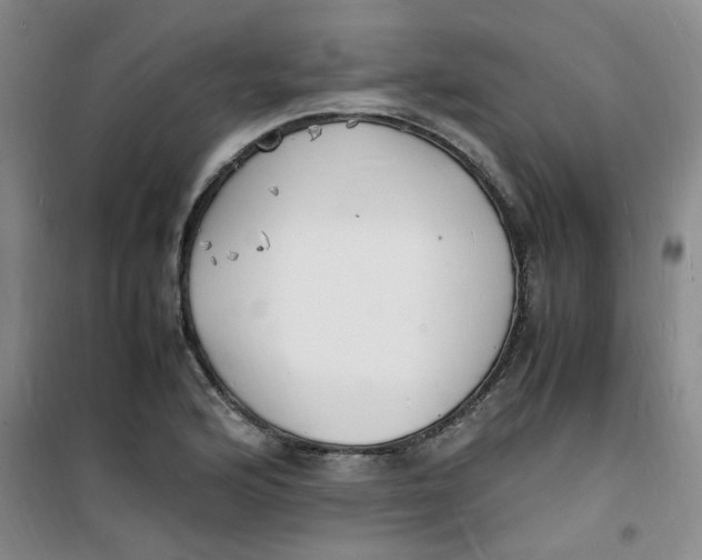 X0000100981176200807151408