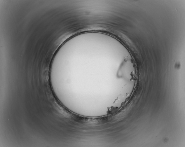 X0000100981177200807151408