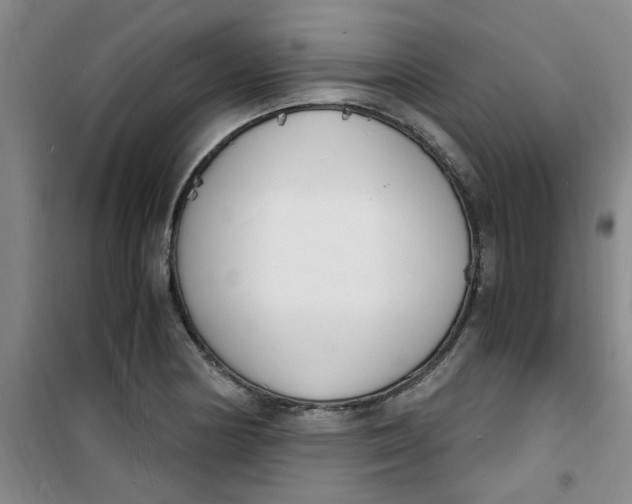 X0000100981178200807151408