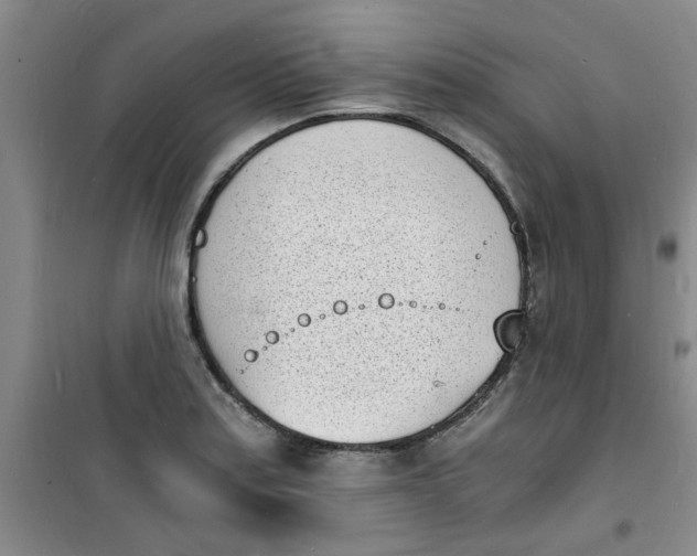 X0000100981179200807151408