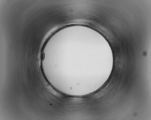 X0000100981180200807151408