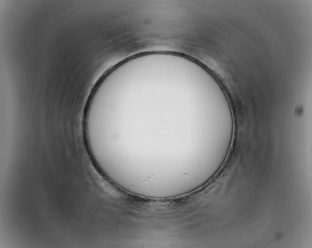 X0000100981181200807151408