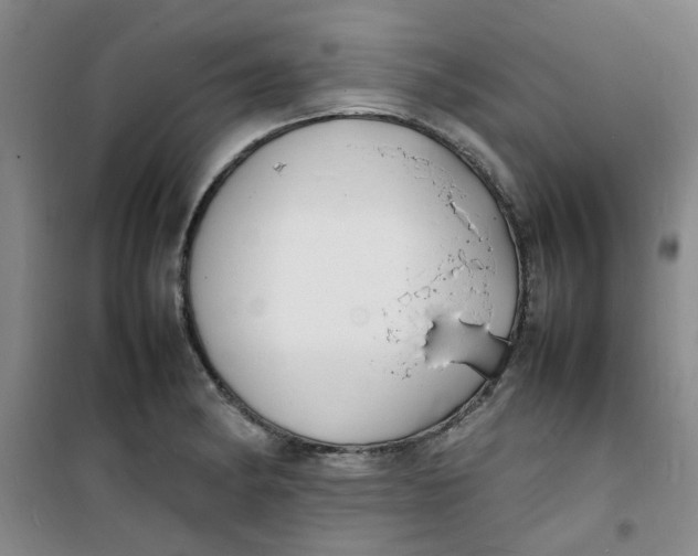 X0000100981182200807151408