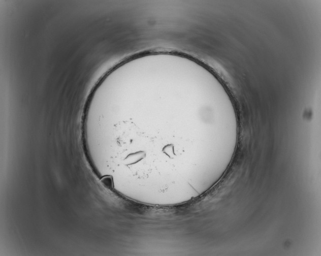 X0000100981183200807151408