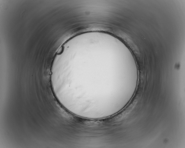 X0000100981185200807151408