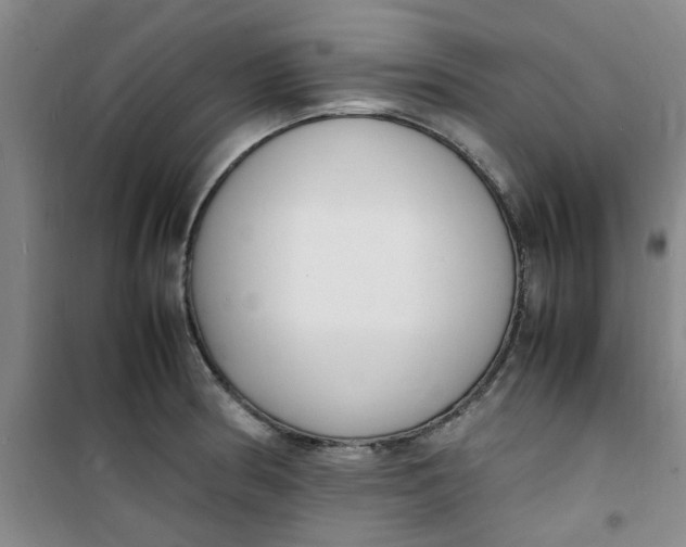 X0000100981186200807151408