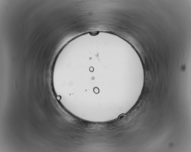 X0000100981187200807151408