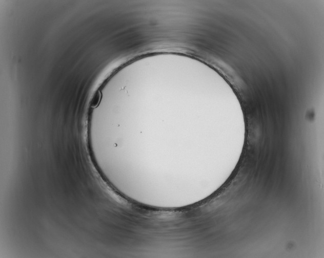 X0000100981188200807151408