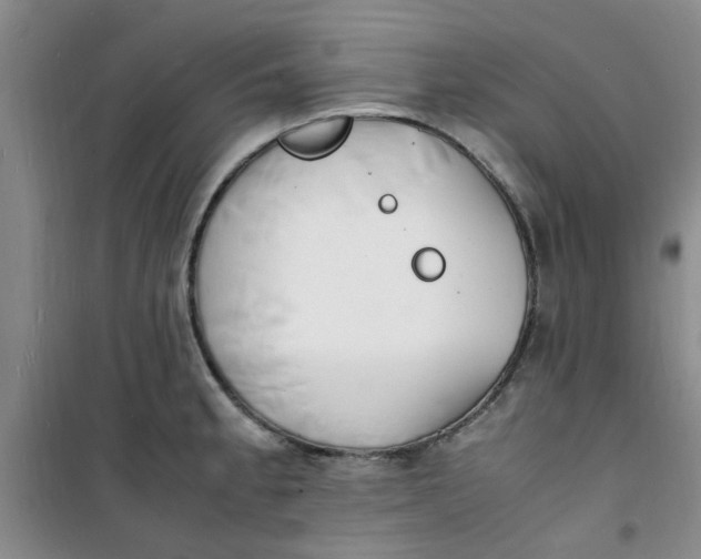 X0000100981189200807151408