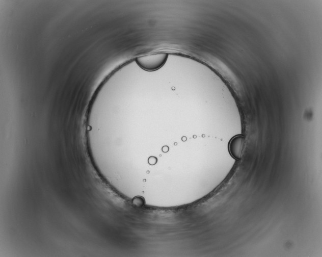 X0000100981190200807151408