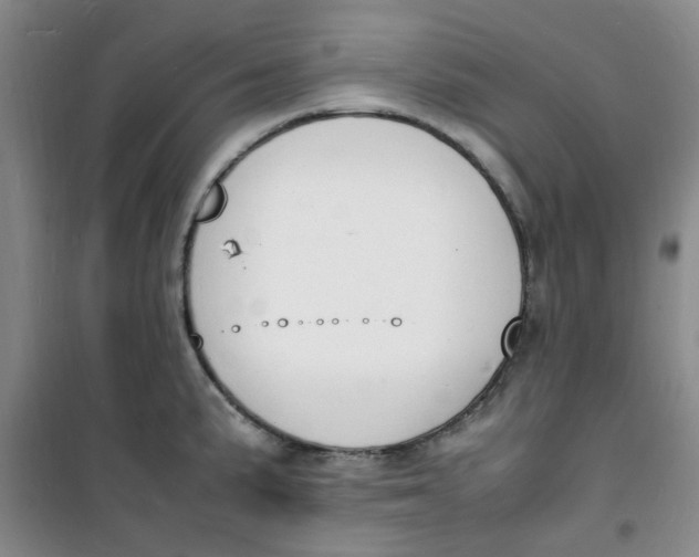 X0000100981191200807151408