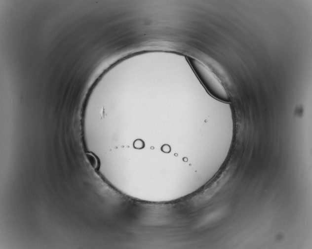 X0000100981192200807151408