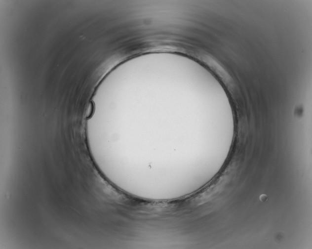 X0000100981193200807151408