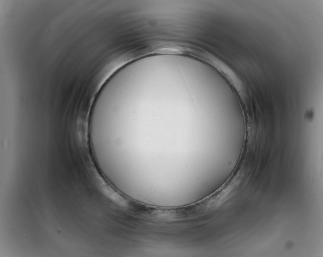 X0000100981194200807151408