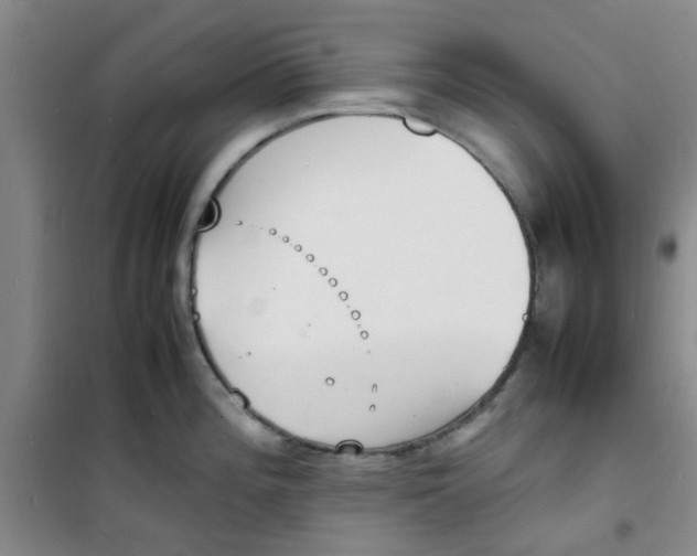 X0000100981196200807151408