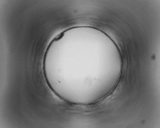 X0000100981197200807151408