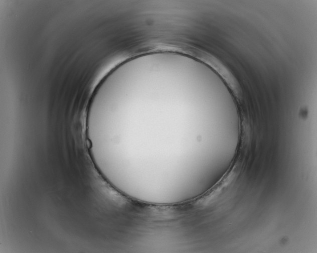 X0000100981198200807151408