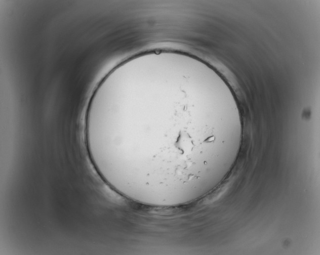 X0000100981199200807151408