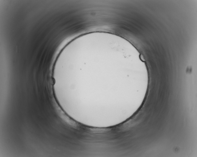 X0000100981200200807151408